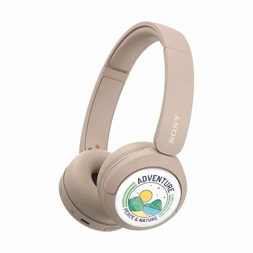 Sony Headphone WH-CH 520